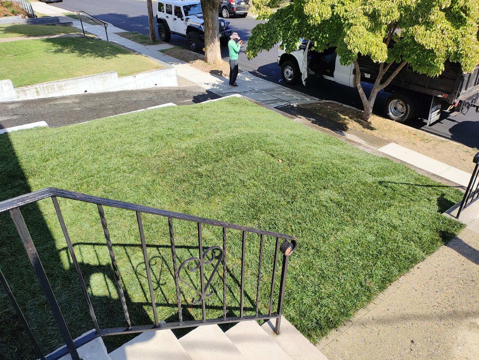 Complete Landscape Design