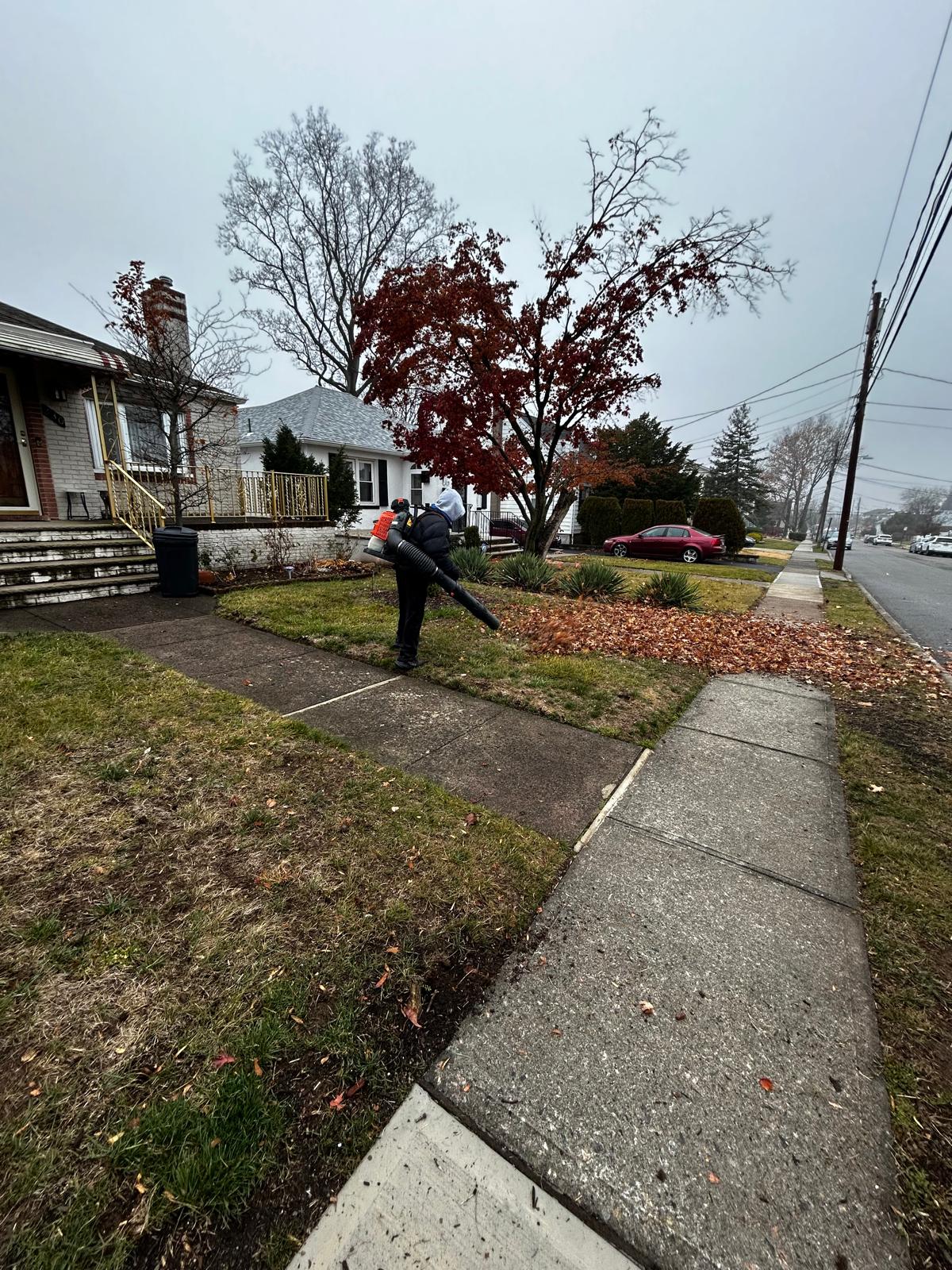 Seasonal Cleanup Project