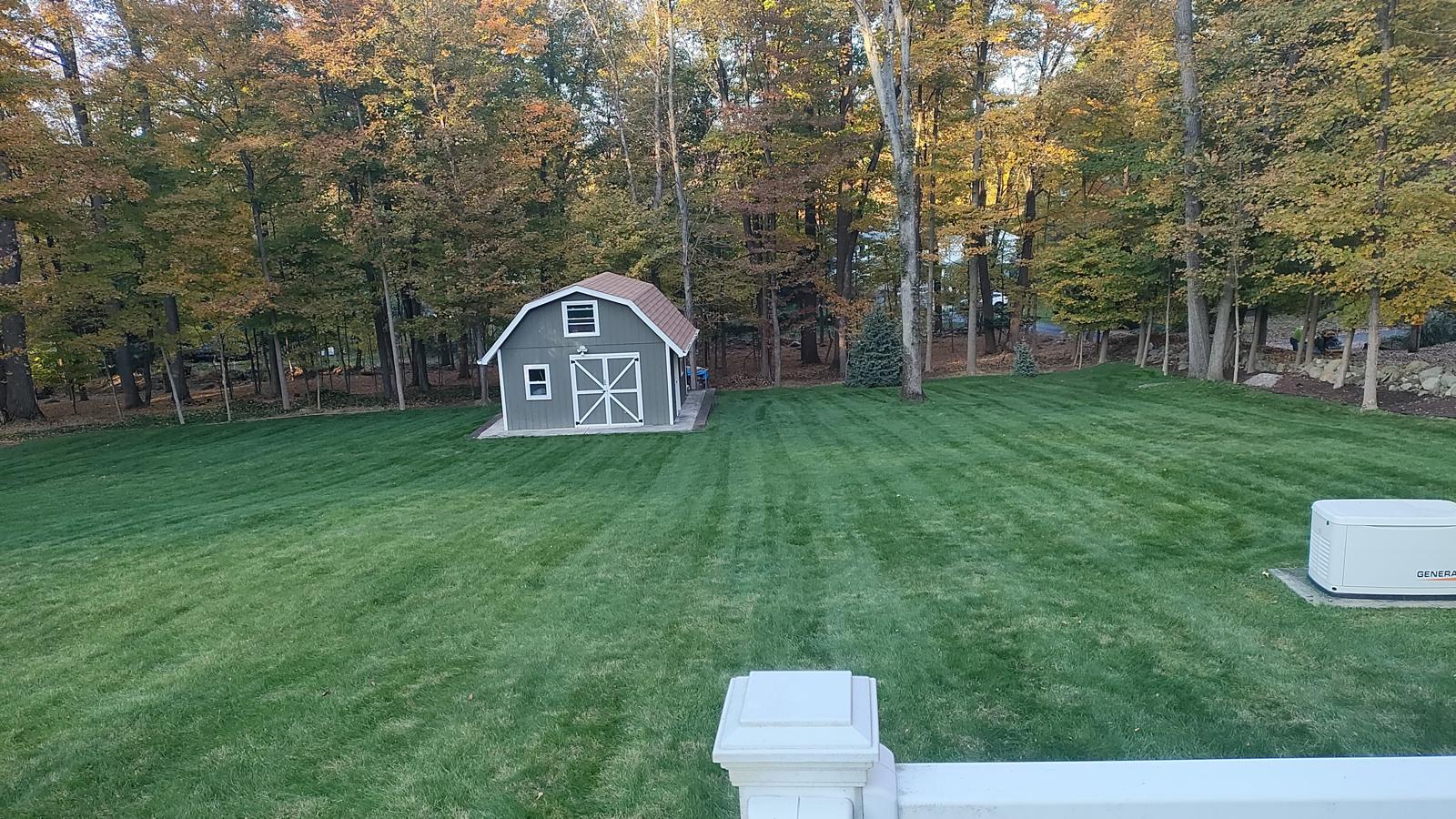 Lawn Seeding Project