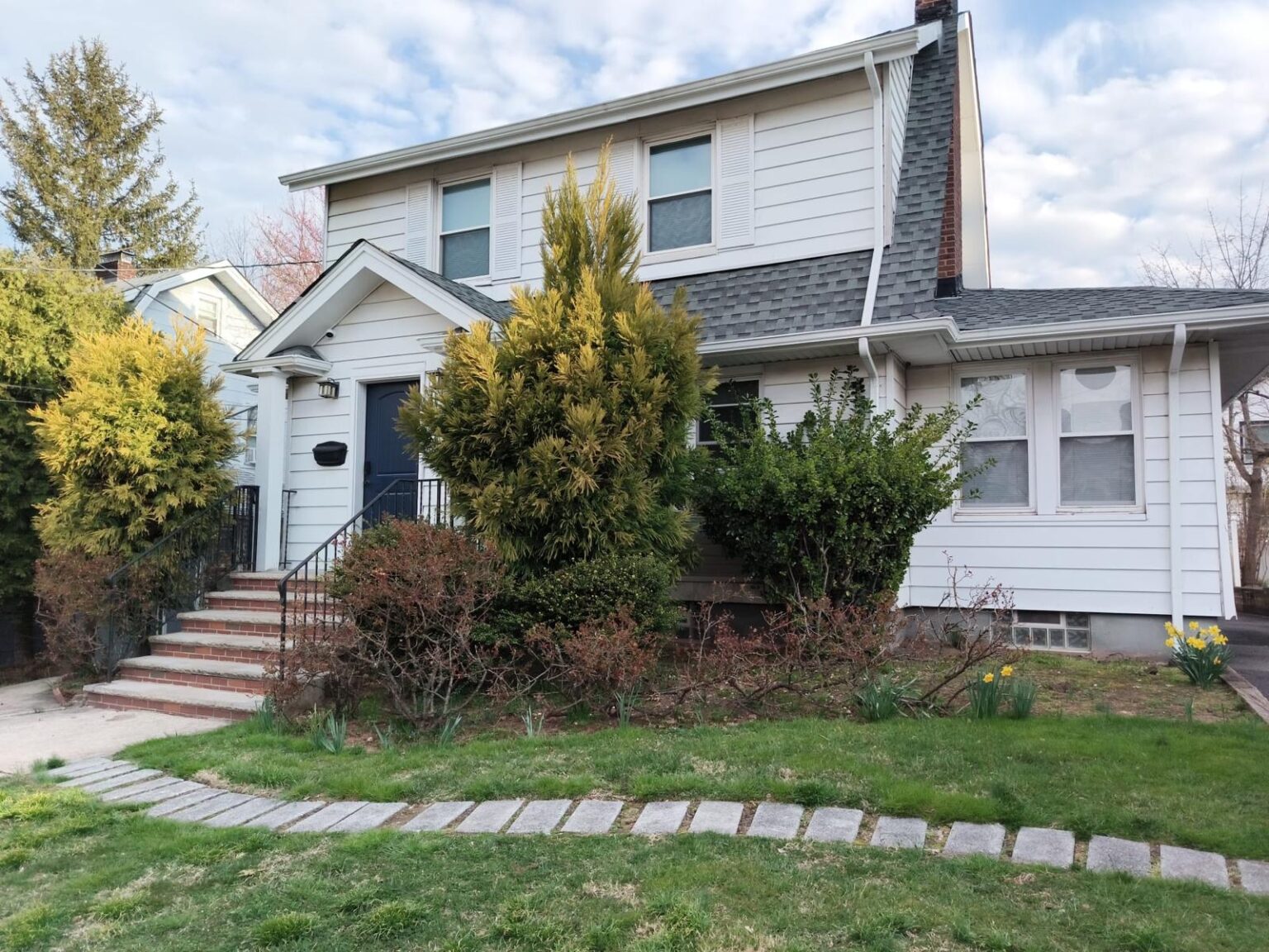 Tree Removal Project