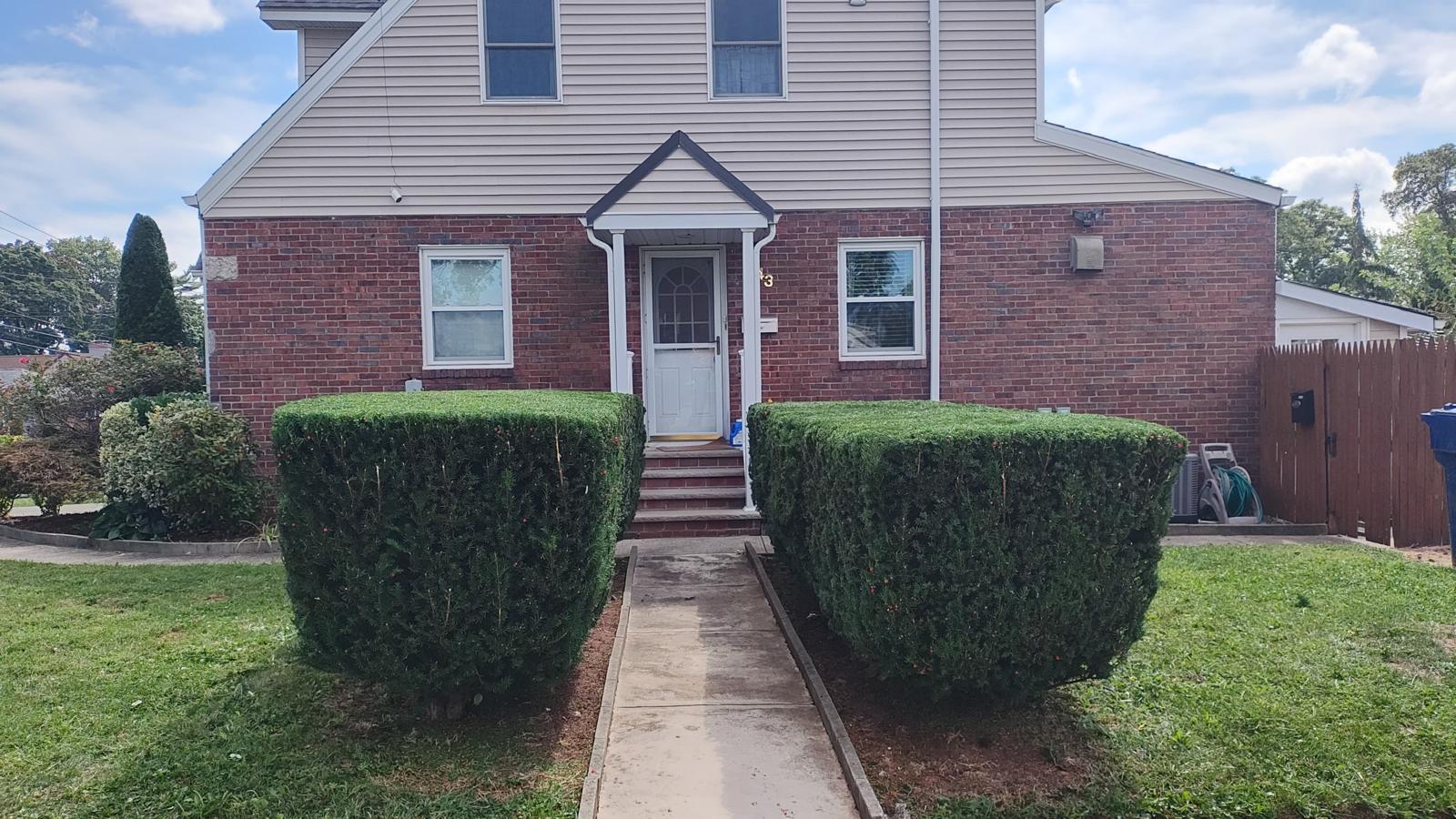 Professional Trimming Project